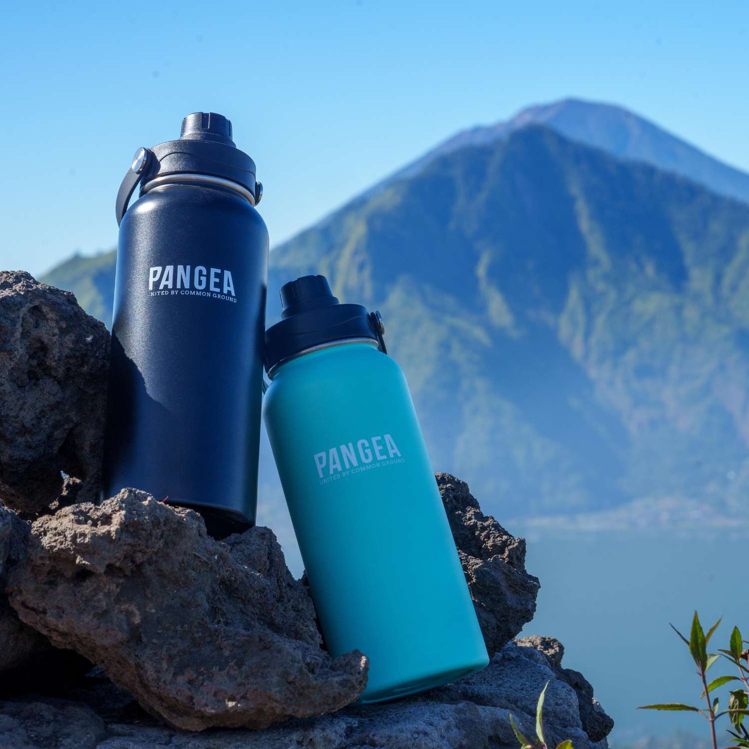 Adventure Flask (32oz/1L) Pangea