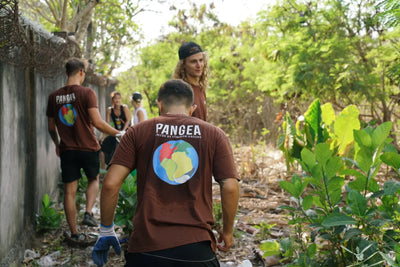 Pangea Cleanup in Bali, Indonesia