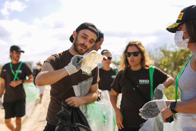 Pangea Cleanup in Cancun, Mexico
