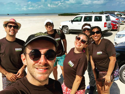 Pangea Cleanup in Isla Blanca, Cancun, Mexico