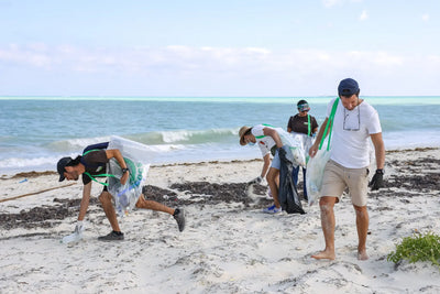 Pangea Cleanup in Isla Blanca, Mexico