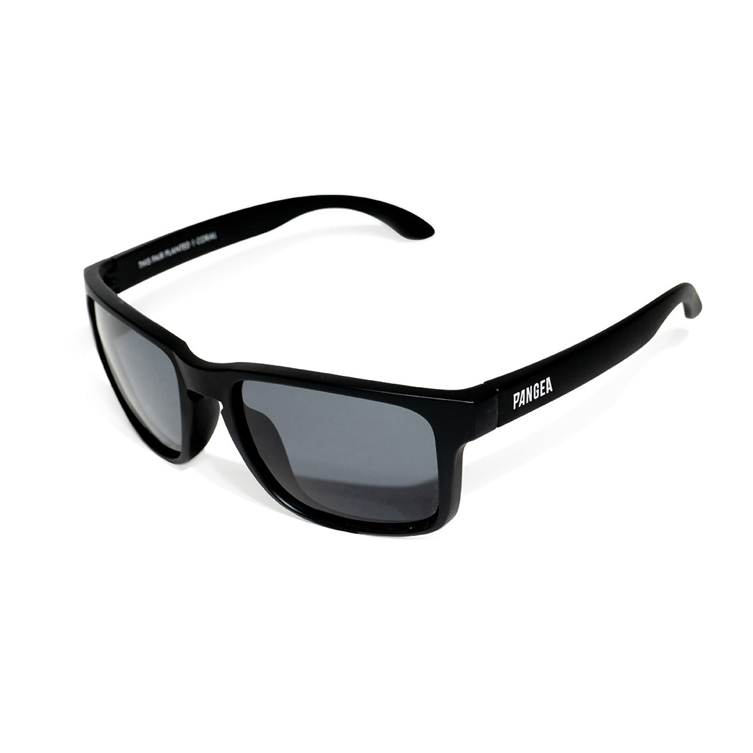 Travel 2.0 Sunglasses Collection Pangea